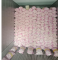 China fresh garlic supply 5.0-6.0, new season normal white garlic export